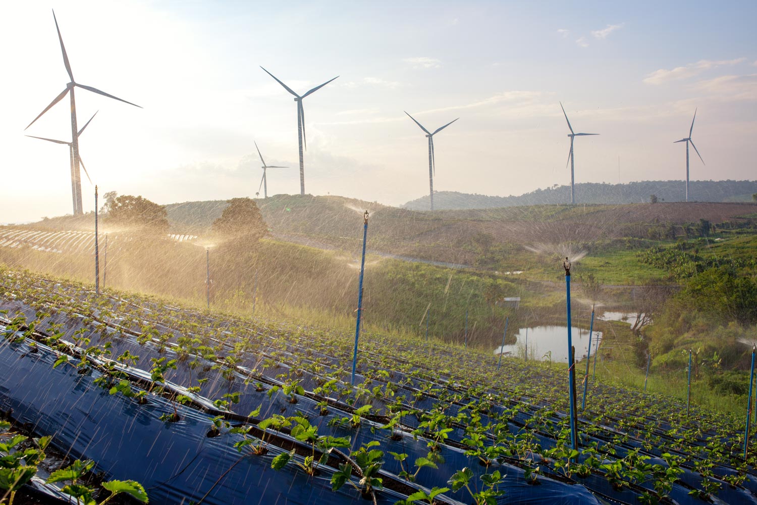 Landwirtschaft &amp; Umwelttechnik